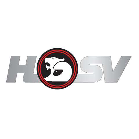 Very Large HSV Logo